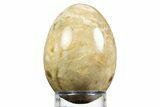 Polished Petrified Palm Root Egg - California #308745-1